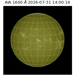 saia - 2026-07-31T14:00:14.123000