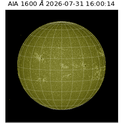 saia - 2026-07-31T16:00:14.130000