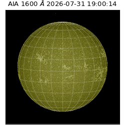 saia - 2026-07-31T19:00:14.131000