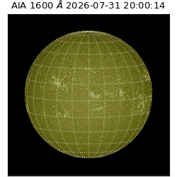 saia - 2026-07-31T20:00:14.123000