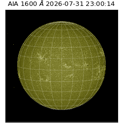 saia - 2026-07-31T23:00:14.124000