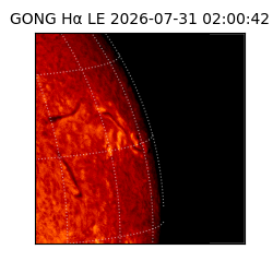 gong - 2026-07-31T02:00:42