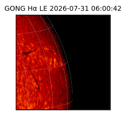 gong - 2026-07-31T06:00:42