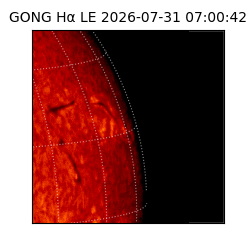 gong - 2026-07-31T07:00:42