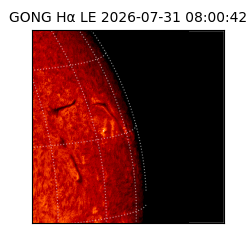 gong - 2026-07-31T08:00:42