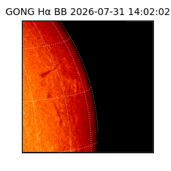 gong - 2026-07-31T14:02:02