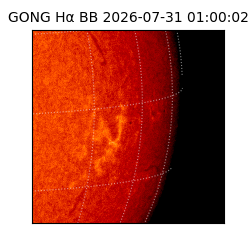 gong - 2026-07-31T01:00:02