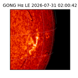 gong - 2026-07-31T02:00:42