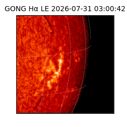 gong - 2026-07-31T03:00:42