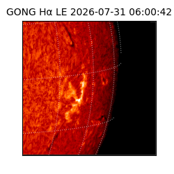 gong - 2026-07-31T06:00:42