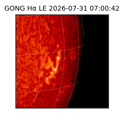 gong - 2026-07-31T07:00:42