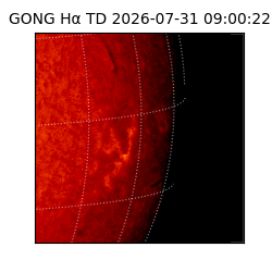 gong - 2026-07-31T09:00:22