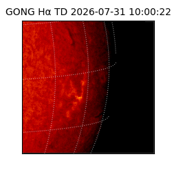 gong - 2026-07-31T10:00:22