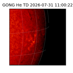 gong - 2026-07-31T11:00:22