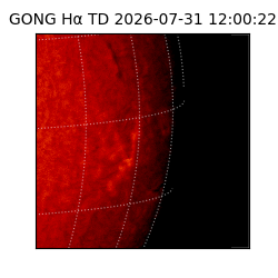 gong - 2026-07-31T12:00:22