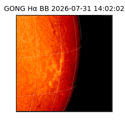 gong - 2026-07-31T14:02:02