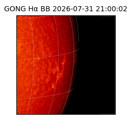 gong - 2026-07-31T21:00:02