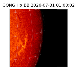 gong - 2026-07-31T01:00:02