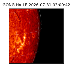 gong - 2026-07-31T03:00:42
