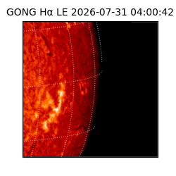 gong - 2026-07-31T04:00:42