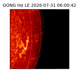 gong - 2026-07-31T06:00:42
