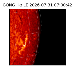 gong - 2026-07-31T07:00:42