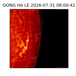 gong - 2026-07-31T08:00:42