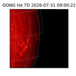gong - 2026-07-31T09:00:22