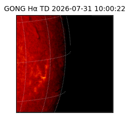 gong - 2026-07-31T10:00:22
