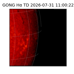 gong - 2026-07-31T11:00:22