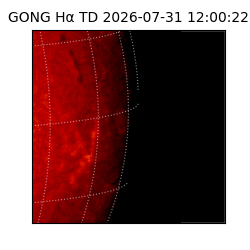 gong - 2026-07-31T12:00:22