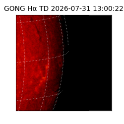 gong - 2026-07-31T13:00:22