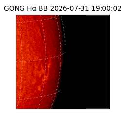 gong - 2026-07-31T19:00:02