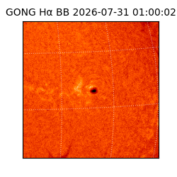 gong - 2026-07-31T01:00:02