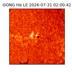 gong - 2026-07-31T02:00:42
