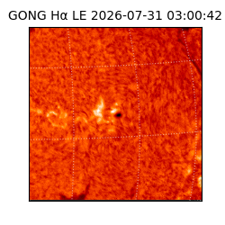 gong - 2026-07-31T03:00:42