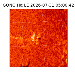 gong - 2026-07-31T05:00:42
