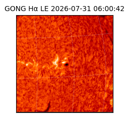 gong - 2026-07-31T06:00:42