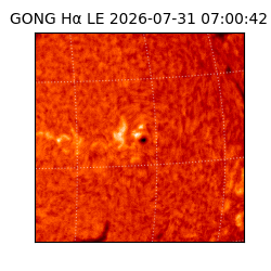 gong - 2026-07-31T07:00:42