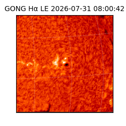 gong - 2026-07-31T08:00:42