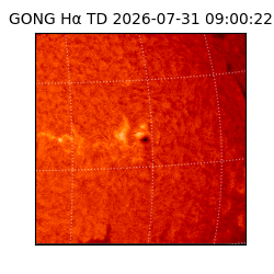gong - 2026-07-31T09:00:22