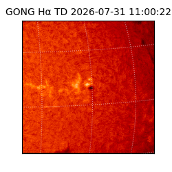 gong - 2026-07-31T11:00:22