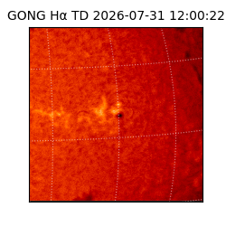 gong - 2026-07-31T12:00:22