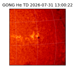 gong - 2026-07-31T13:00:22