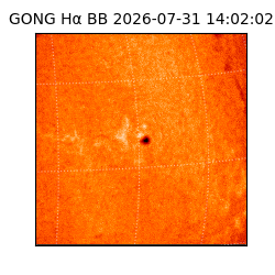 gong - 2026-07-31T14:02:02