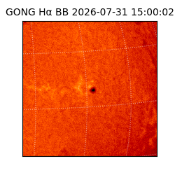 gong - 2026-07-31T15:00:02