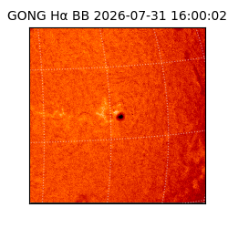 gong - 2026-07-31T16:00:02