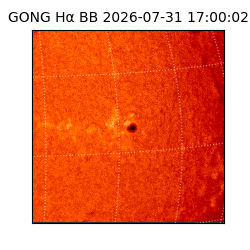 gong - 2026-07-31T17:00:02