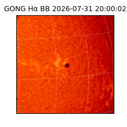 gong - 2026-07-31T20:00:02