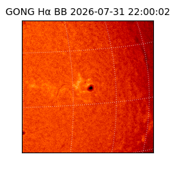 gong - 2026-07-31T22:00:02